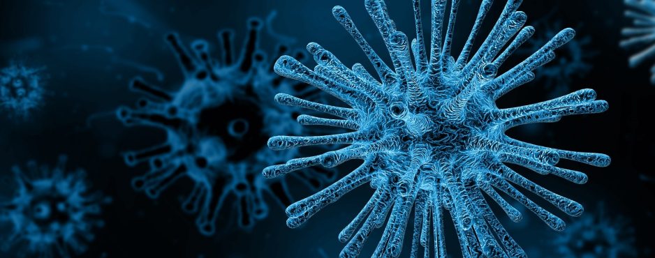 Herzerfrischend virus-4030721_1920-938x370 Von unsichtbar zu sichtbar - Wie lassen sich Bakterien sichtbar machen? Hygiene    